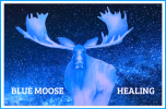 Blue Moose Healing