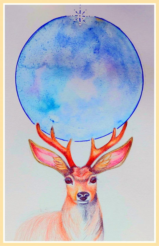 866-105-dream-time-deer-met-wit-randje-1740908668.jpg
